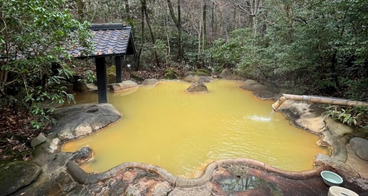 筌の口温泉 旅館 新清館